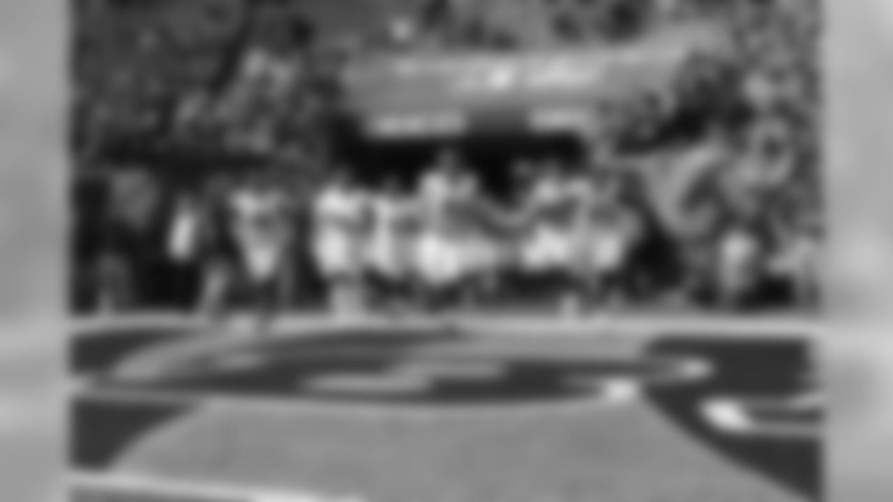 Ravens Introductions