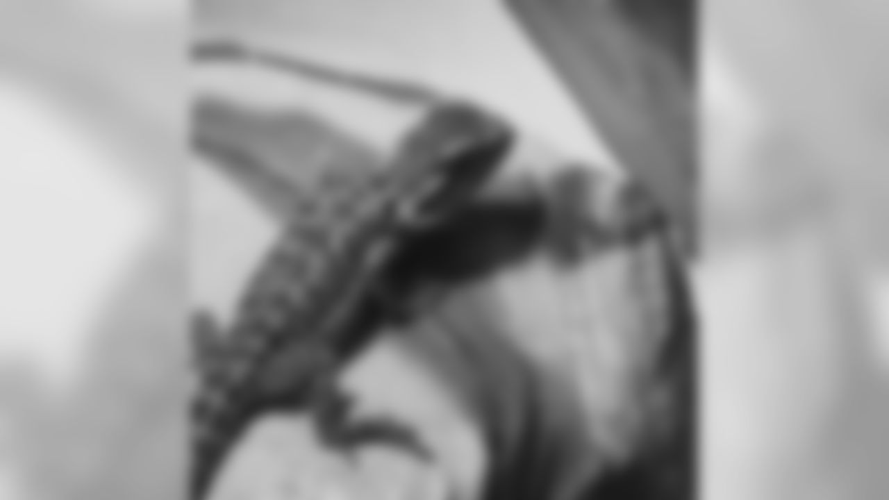 brennenbeyer[Brennen Beyer]: Say hey to my new roommate! Need name ideas for this lil beardy