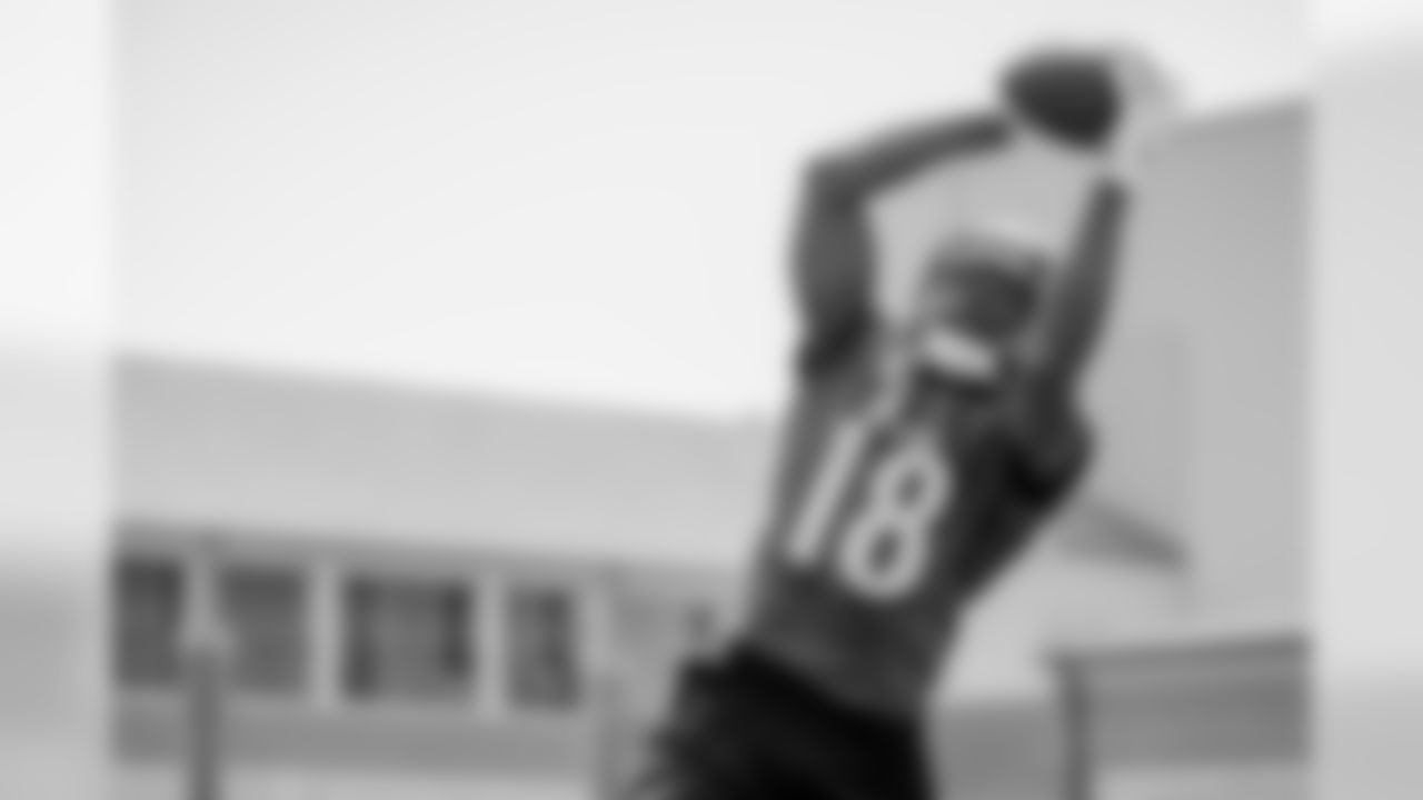 WR Breshad Perriman