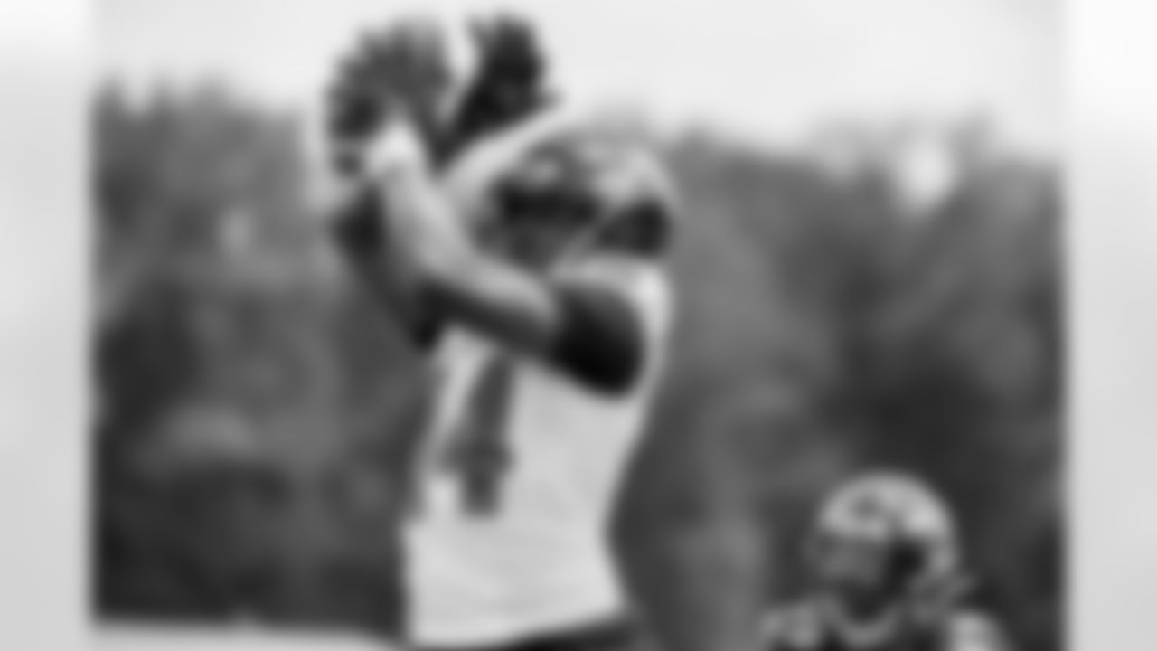 WR Sammy Watkins
Watkins clearly has potential to add punch to the passing attack. His experience showed at mandatory minicamp when he consistently got open. Injuries have been his biggest stumbling block, but Watkins and Jackson seem to have built quick chemistry, and the Ravens hope to see more of that at camp.