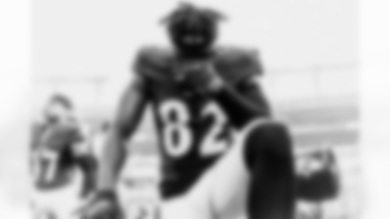 Wr Michael Dereus
