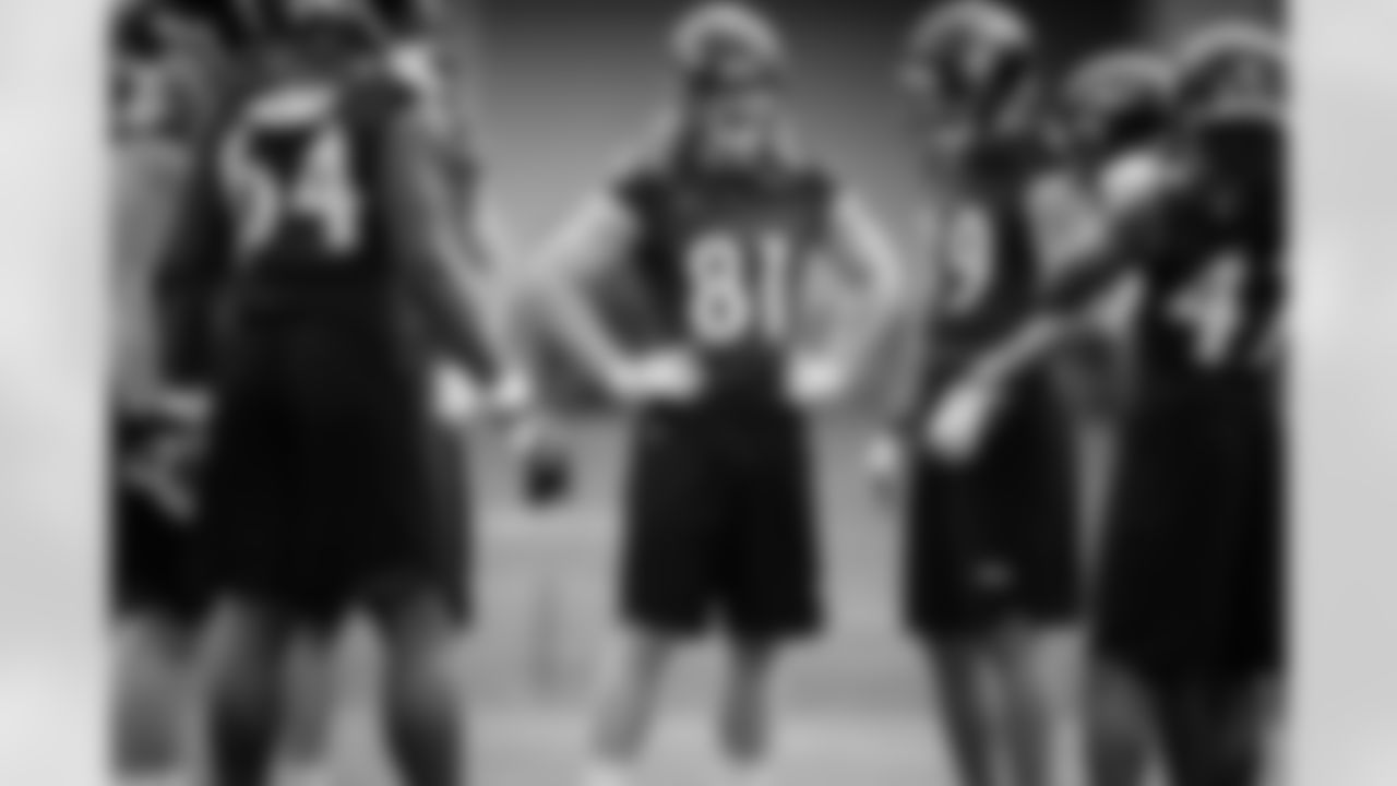 TE Hayden Hurst