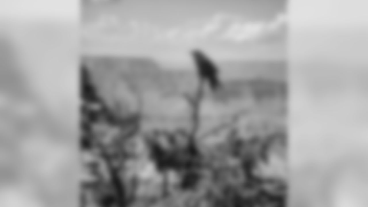 ravens[Baltimore Ravens]: The #Ravens have landed in Arizona. IT'S GAMEDAY! #PlayLikeARaven