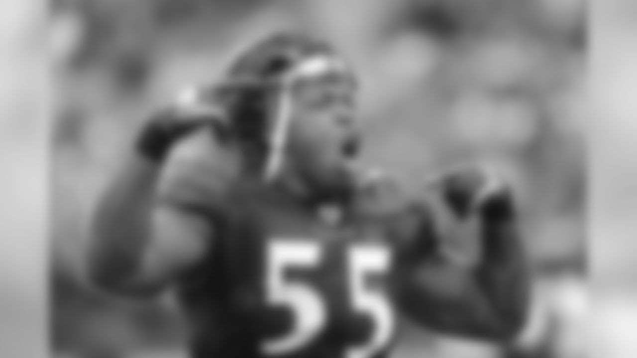Some of the best shots from the Ravens-Bengals game on Sunday, Nov. 20th at M&T Bank Stadium.