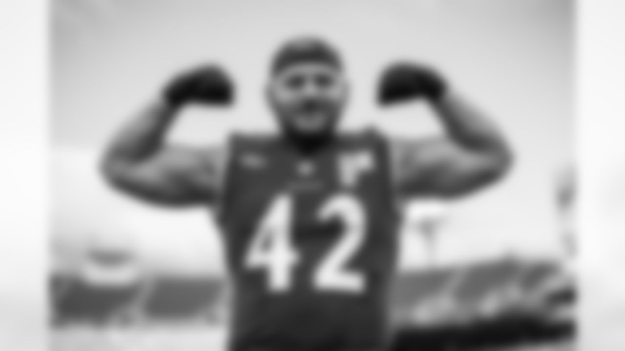 FB/DL Patrick Ricard