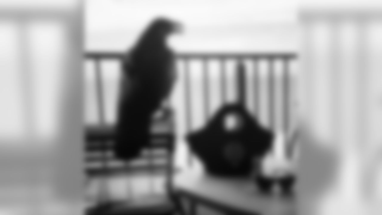 ravens[Baltimore Ravens]:We're waiting for you down in Ocean City. Full details on this year's Beach Bash at BaltimoreRavens.com/BeachBash #BeachBash15 #RavensNation #Ravens #PlayLikeARaven #Beach #OCMD #OceanCity