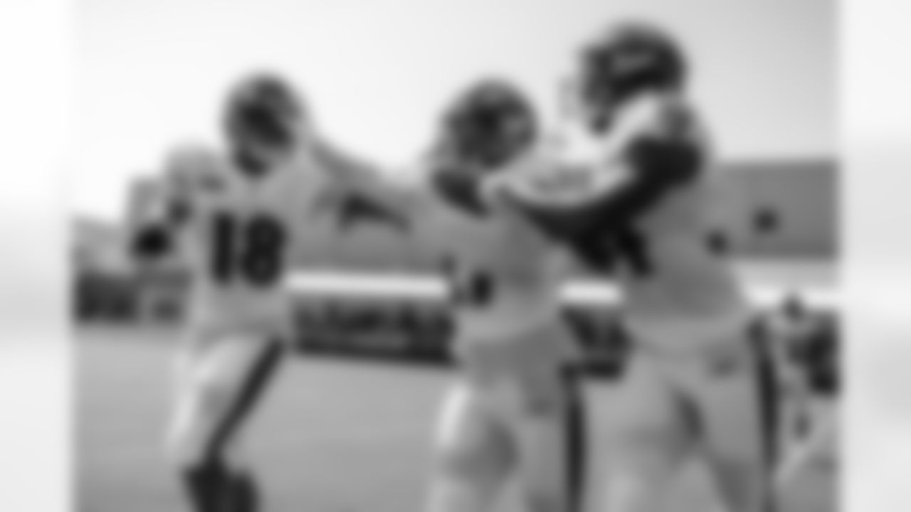 RB Nate McCrary, RB J.K. Dobbins, RB Ty'Son Williams