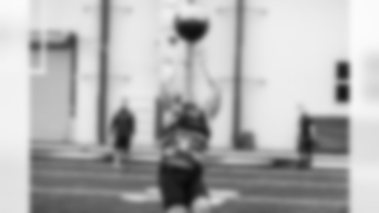 FB/DL Patrick Ricard