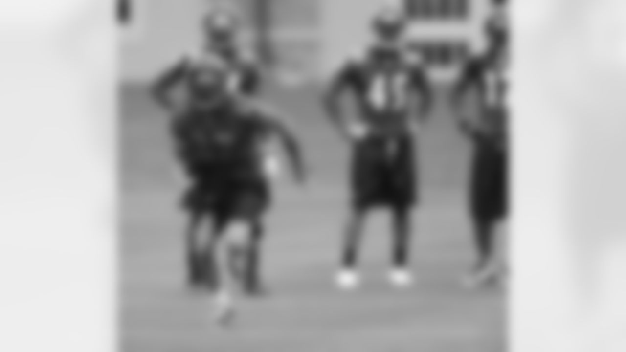 The Ravens hold their first mandatory mini-camp of 2009 at their Owings Mills Training Facility in May 2009.