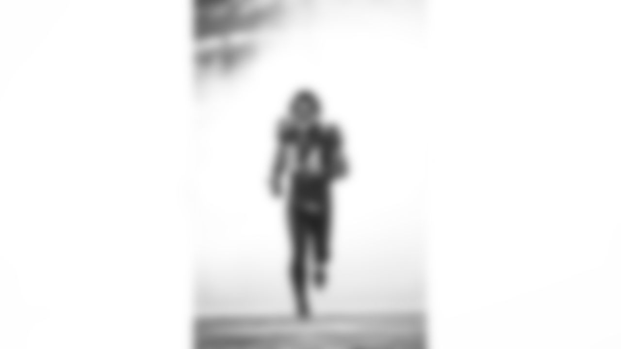 Houshmandzadeh's one year in Baltimore ended on a sour note, as he dropped the final pass in their divisional loss in Pittsburgh. But he was an adequate third receiver who totaled 30 catches for 398 yards and three touchdowns. He had a game-winning reception in Pittsburgh in the regular season.