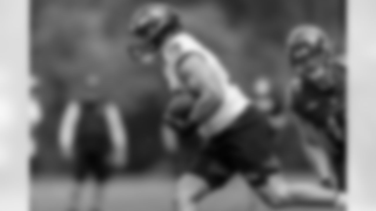 FB/TE Ben Mason
Mason's potential role in the offense will become much clearer during his first training camp. The fifth-round pick was a punishing blocker at Michigan, so he should relish the physicality of padded practices. He'll also get a chance to display his ability as a pass-catcher, after catching just three passes in college.