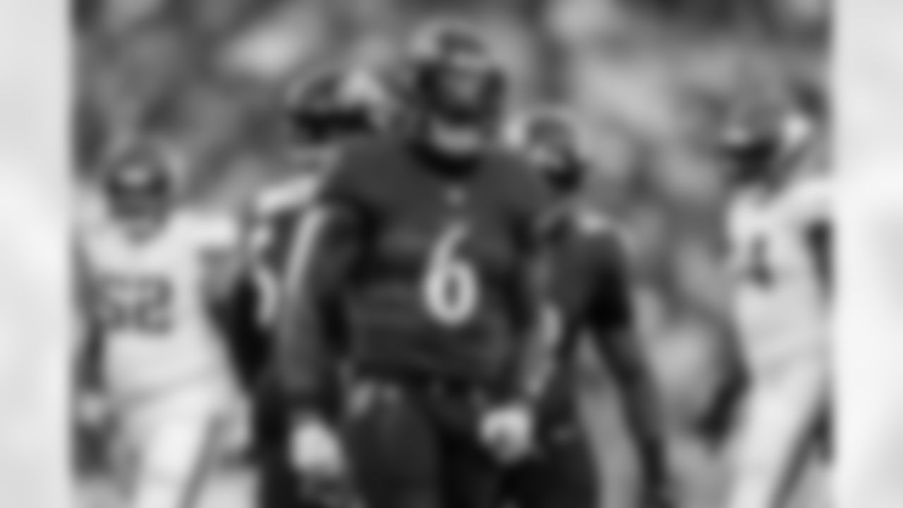 ILB Patrick Queen (6) celebrates during a game against the Minnesota Vikings at M&T Bank Stadium on November 7, 2021.
