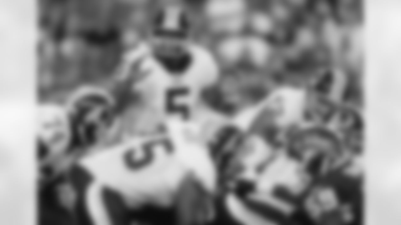 McNabb calls a play on the field (AP Photo)