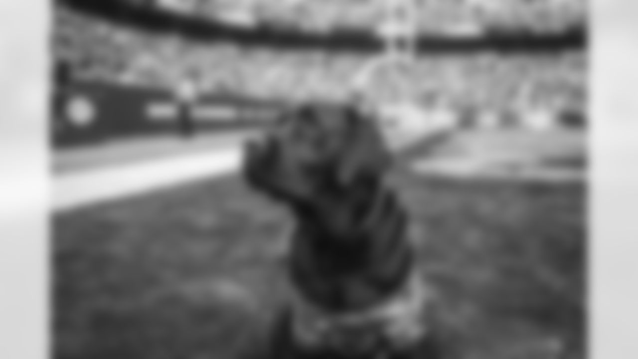 Washington Commanders vs Minnesota Vikings November 6, 2022
