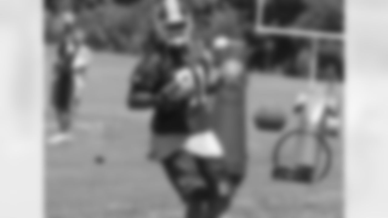 Sean Taylor Redskins Career