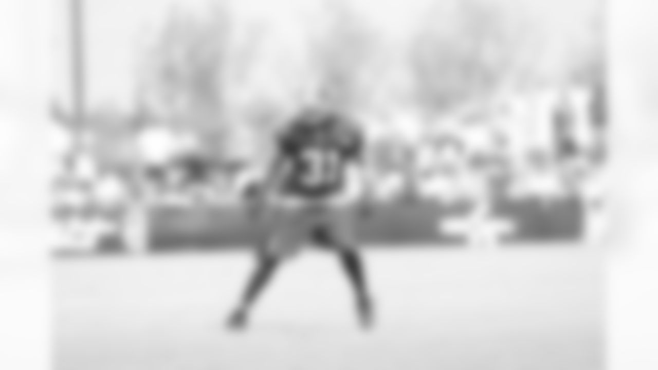 SS -- Brandon Meriweather