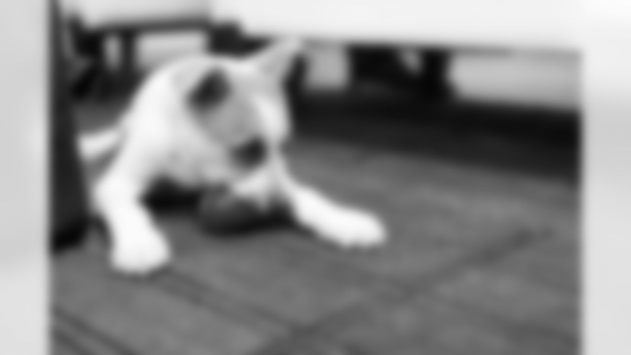 041119PetDay210