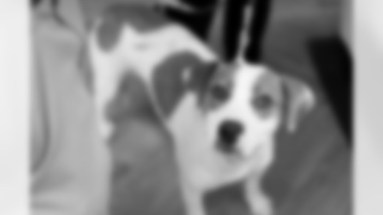 041119PetDay206