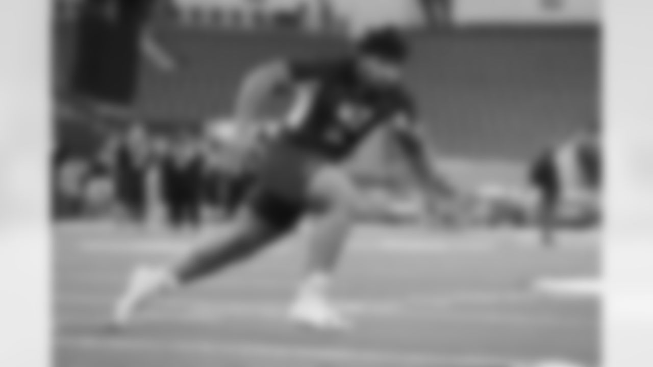 DT Robert Nkemdiche