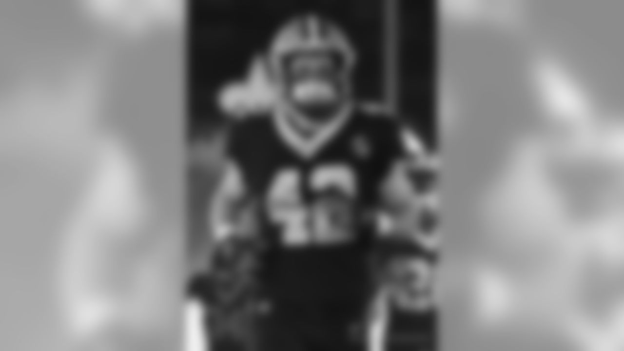 Panthers 33 - Saints 14 (L)
13-3 for the 2018 Season
Number 1 Seed in the NFC
New Orleans Saints 2018 Season
Michael C. Hebert
