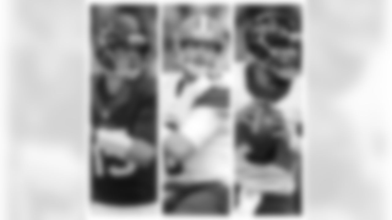 Houston Texans - Brian Hoyer, Ryan Mallett, Tom Savage
