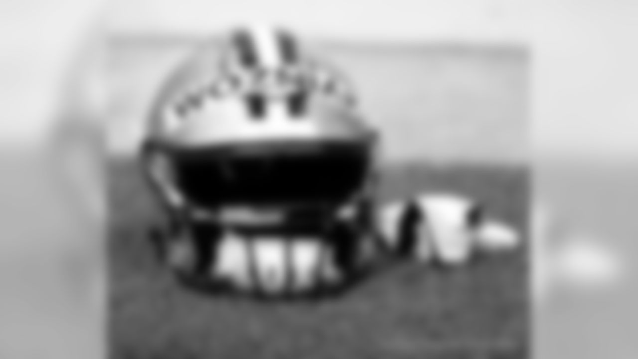 New Orleans Saints Training Camp 2018
Aug 4th Indoor
Michael C. Hebert