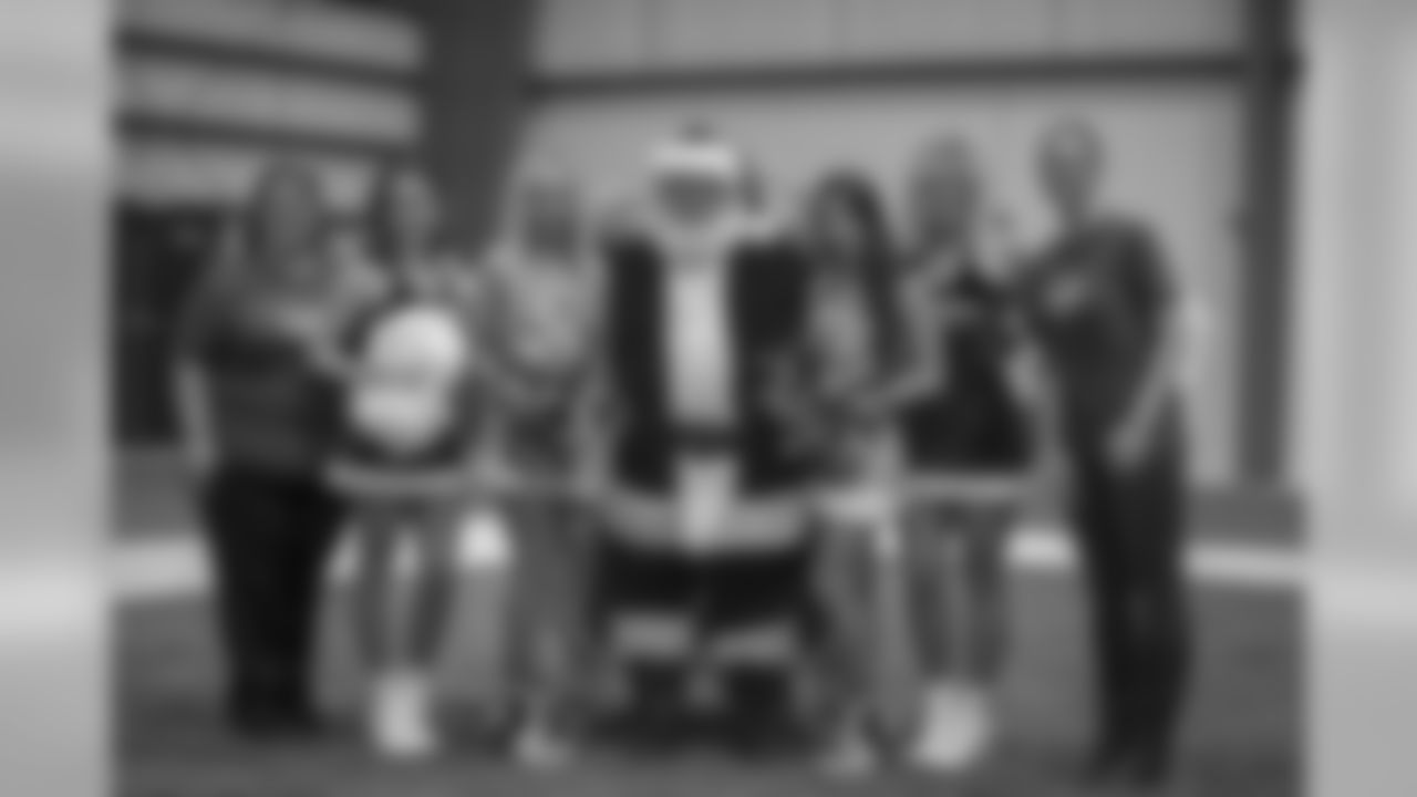 Gallery-Chevron-xmas-2560-1440-0218