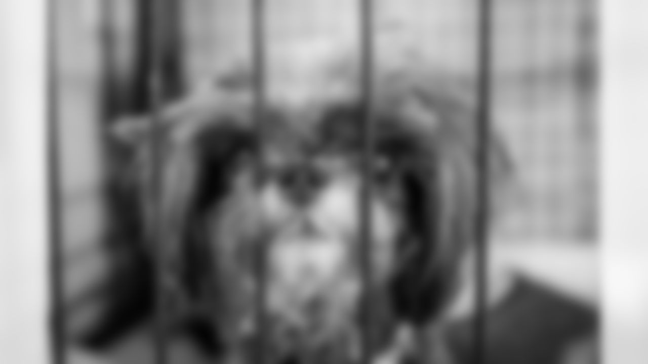 Gallery-AlexAnzalone-ARNO-053119_093