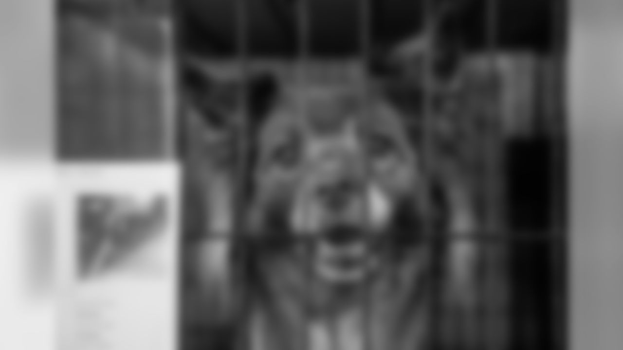 Gallery-AlexAnzalone-ARNO-053119_098