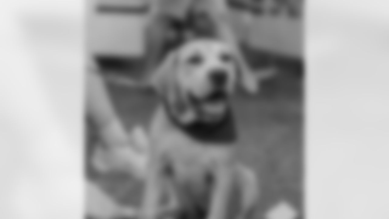 The New Orleans Saints and Raising Cane's teamed up with Animal Rescue New Orleans (ARNO) to host a dog adoption event for fans at 2022 Training Camp practice on Saturday, August 6.