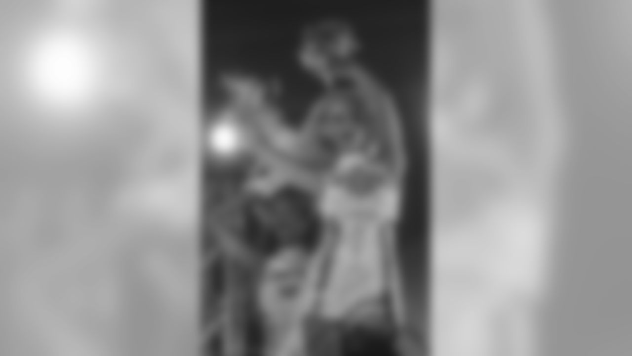 Gallery-Fans-2560-1440-0862