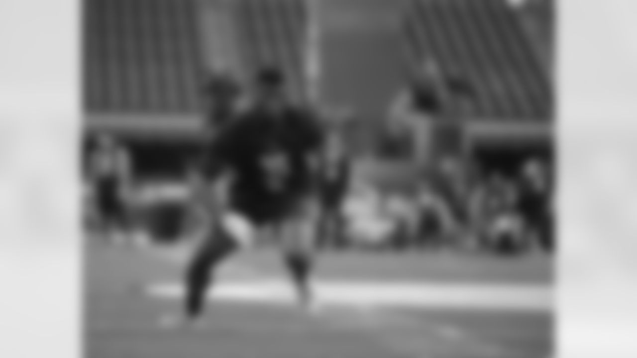 DE Emmanuel Ogbah