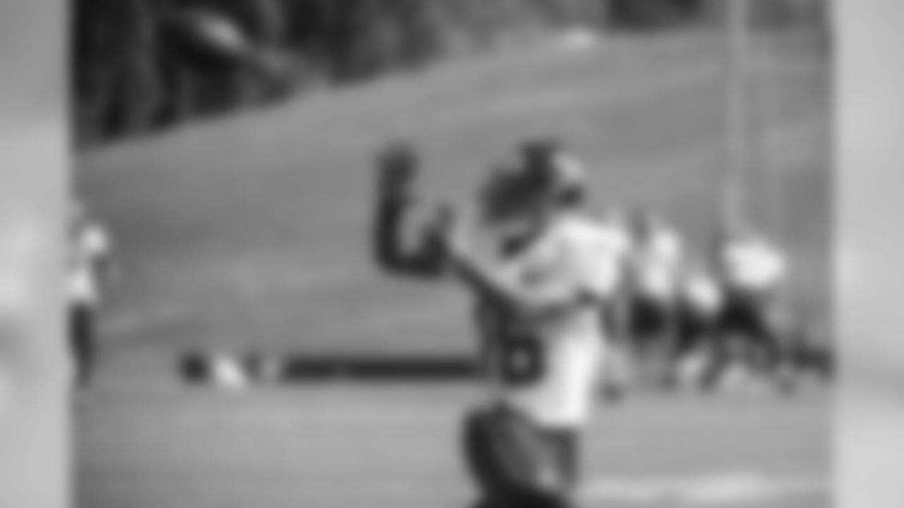 DT Jonathan Babineaux