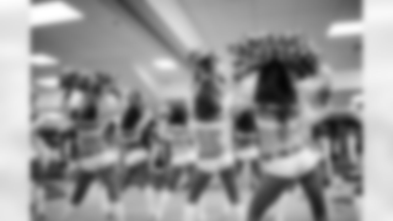14082015_seagals_jhg-9.jpg