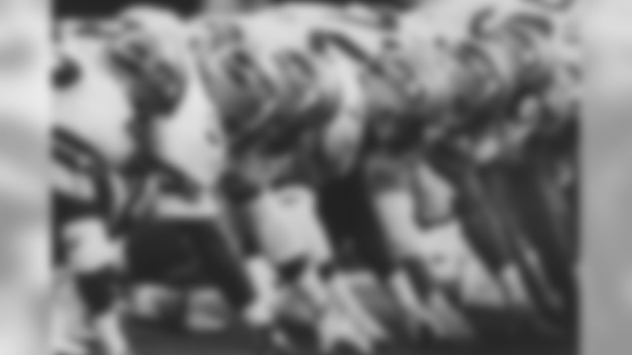 falcons002-2.jpg