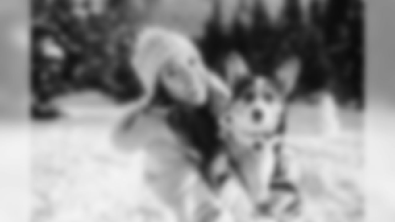 20171212_seagal_wintershoot_janegphoto-163.jpg