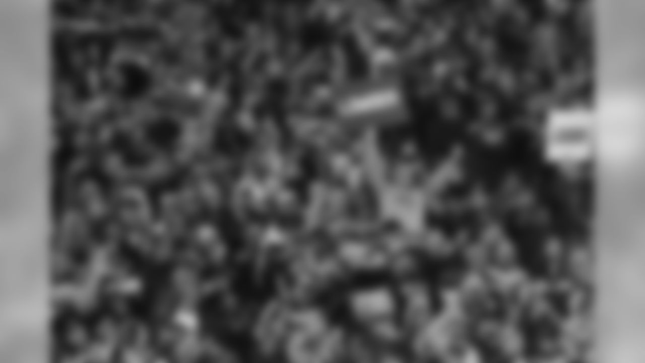 temp20150110_Fans-47.jpg