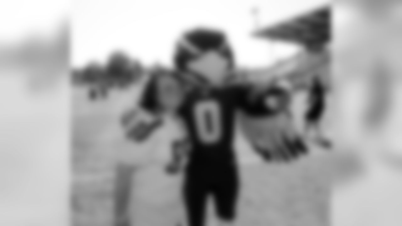 1cstb_EK2V1960