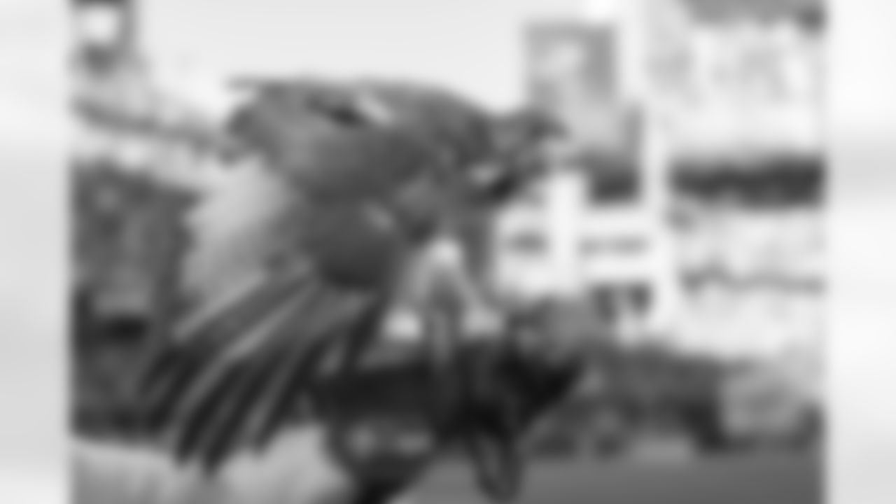 Seahawks-Taima-Through-The-Years-20170825_17-01-32_5706