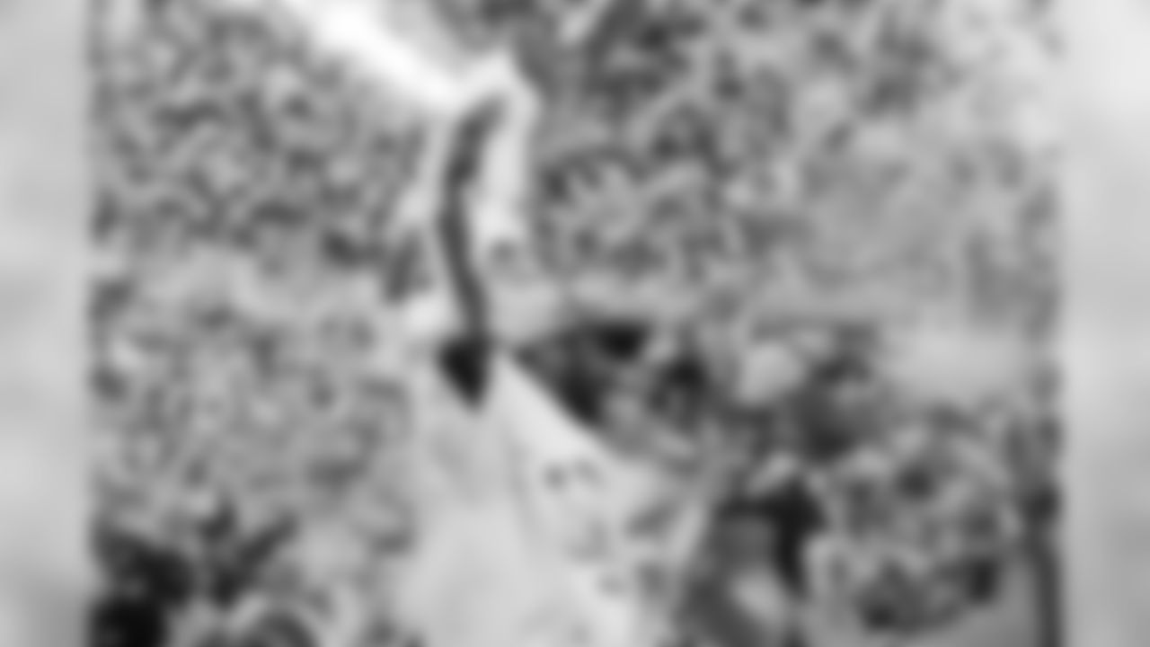 temp_RM13129-2.jpg