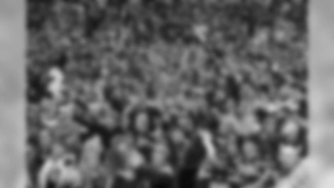 temp20150110_Fans-31.jpg