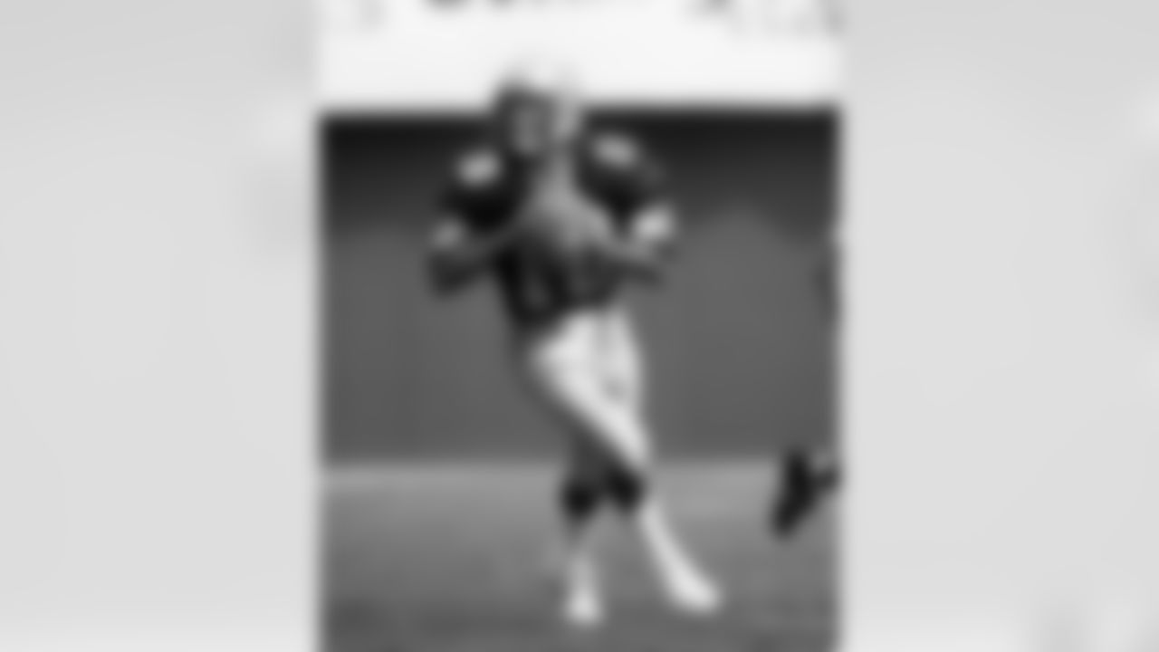 1_Zorn Looks down field 1983