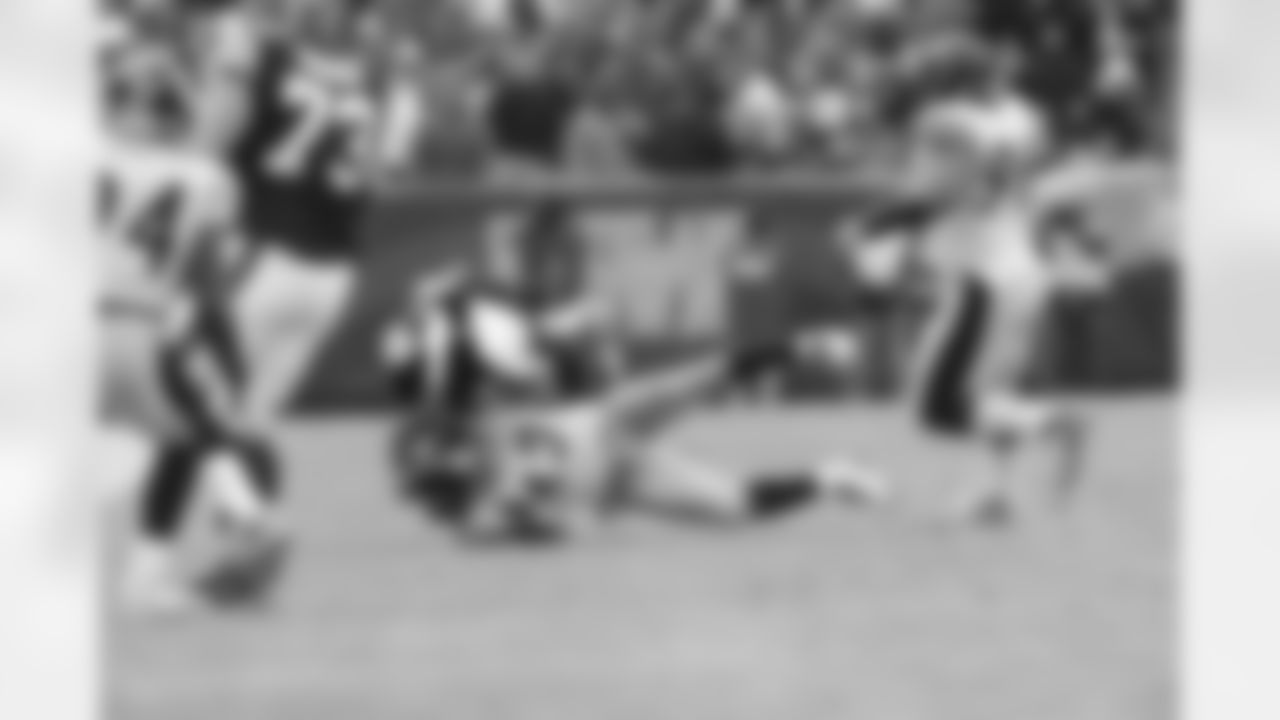 Troy Polamalu