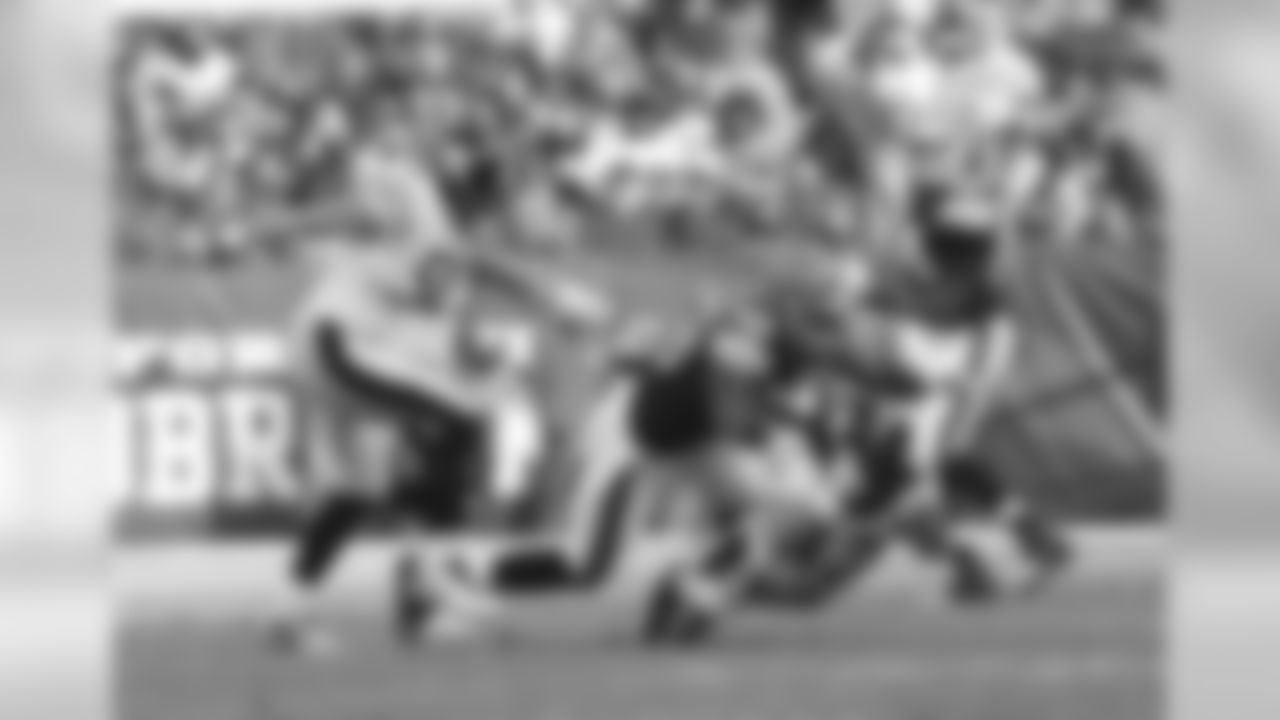Troy Polamalu