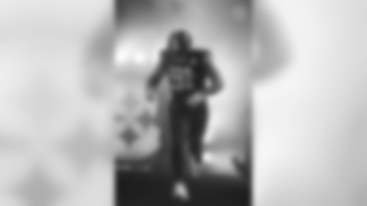 Stephon Tuitt