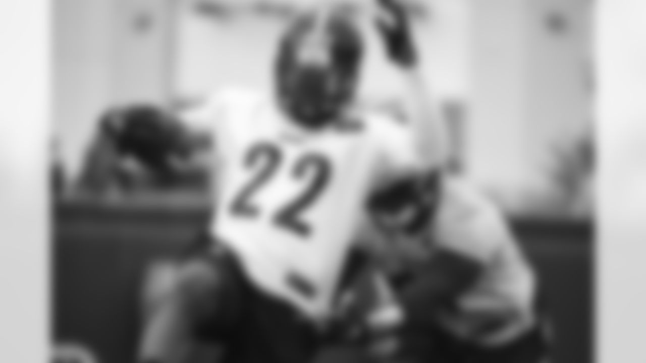 Stevan Ridley and Jon Bostic