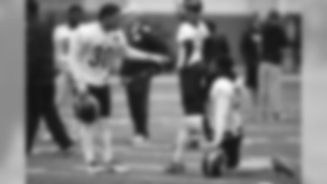 James Conner and Stevan Ridley