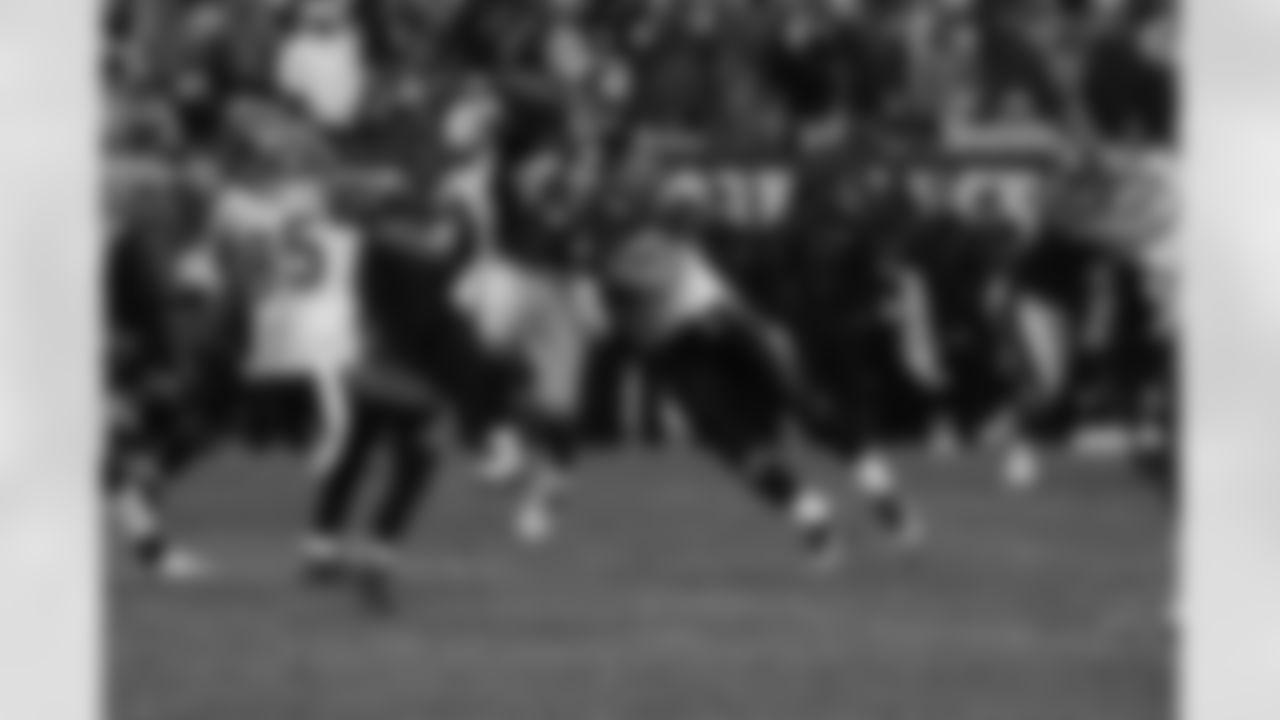 Troy Polamalu