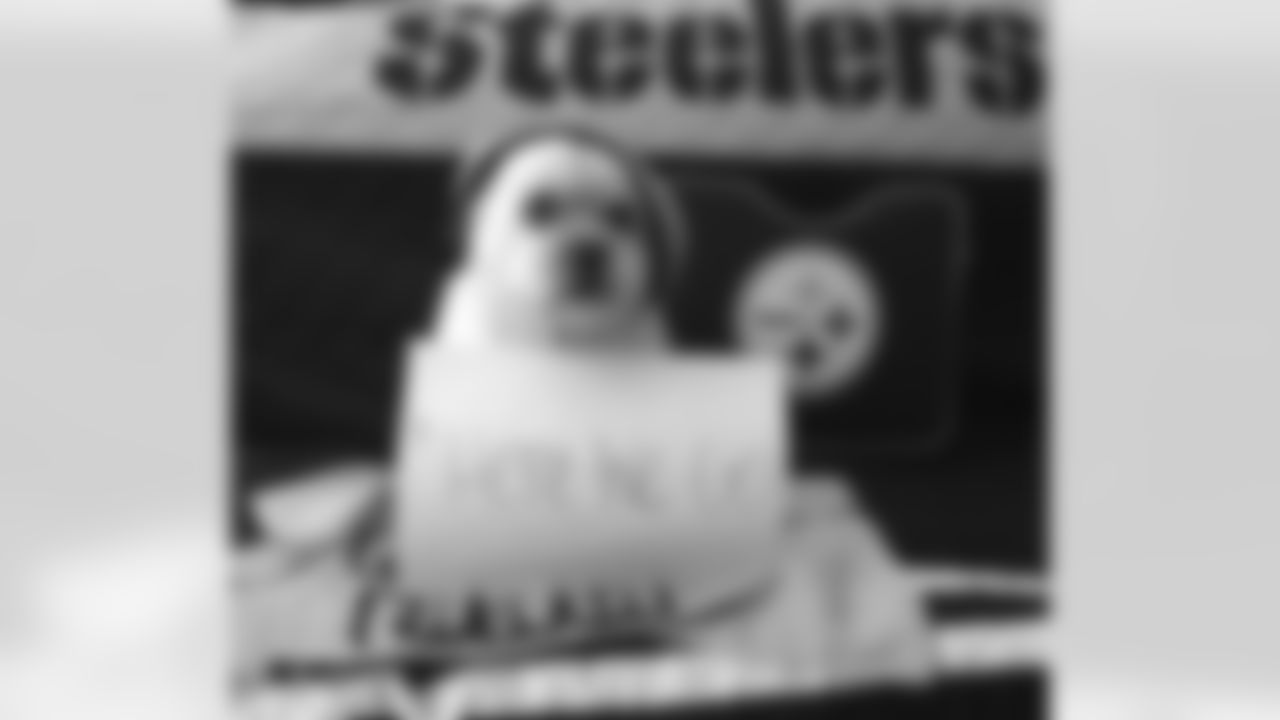 Steelers Nation