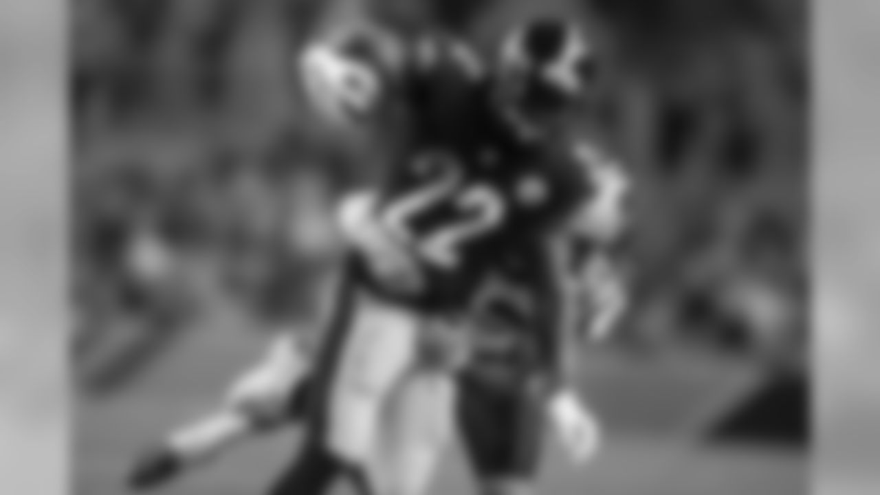 Stevan Ridley